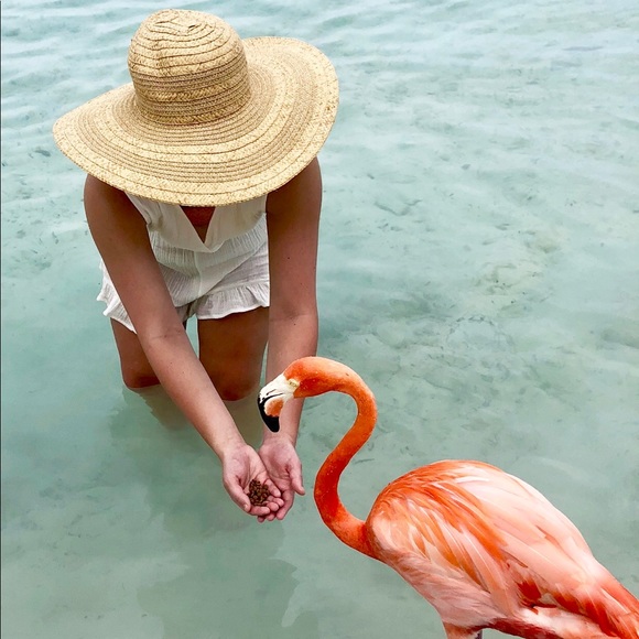 Meet your Posher, Emily - Picture 1 of 4